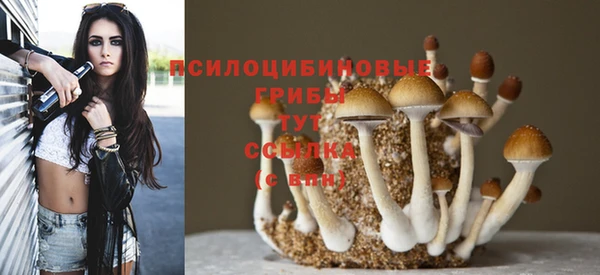 героин Михайловка
