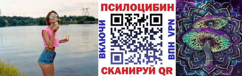 наркошоп  Медынь  Галлюциногенные грибы Cubensis 